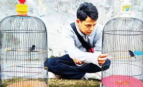 Check spelling or type a new query. Burung Kolibri Ninja Berkicau Sepanjang Hari Dibanderol Jutaan Rupiah Metropolitan Id