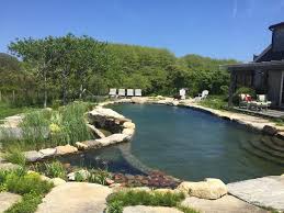 Swimming pool blogs list ranked by popularity based on social metrics, google search ranking, quality & consistency of swimming pool blogs. Association For Swimming Ponds And Natural Swimming Pools Home Facebook