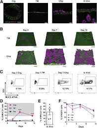 Matter in the liquid state maintains a fixed volume, but has a variable shape that adapts to fit its container. Human Colon On A Chip Enables Continuous In Vitro Analysis Of Colon Mucus Layer Accumulation And Physiology Sciencedirect