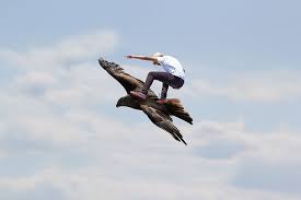 Feel free to download, share, comment and discuss every wallpaper you like. Hd Wallpaper Man Riding On Bird On The Sky Flying Eagle Cool Flight Bald Eagle Wallpaper Flare
