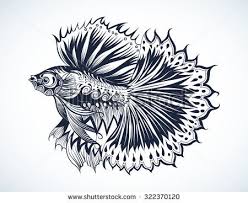 Maybe you would like to learn more about one of these? 820 Gambar Ikan Cupang Vector Gratis Terbaru Gambar Keren
