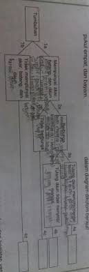 Maybe you would like to learn more about one of these? Kelompokkan Tumbuh Tumbuhan Tersebut Ke Dalam Diagram Dikotom Brainly Co Id