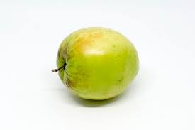 There are nine countries whose names begin with the letter i. 15 Fruits That Start With Letter I The Alphabet Game