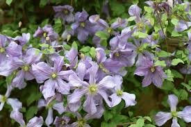 Maybe you would like to learn more about one of these? My Essential Easter Gardening Tasks Financial Times