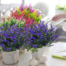 We did not find results for: Buy Grunyia 10 Bundles Artificial Lavender Flowers Outdoor Fake Plants Faux Plastic Uv Resistant Flowers For Home Garden Porch Window Box And Cemetary Grave Decorations 10 Blue Online In Vietnam B085hktffp
