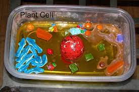 We did not find results for: Plant Cell Model Jello