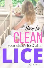 9 Best Ways To Treat Head Lice On Your Mattress Bed Pillow And Sheets In 2020 Cleaning Pillows Louse Head Louse