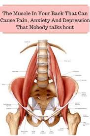 The Psoas Major Muscle Pronounced So As Isdanielle Olsonstates The Muscle Of The Soul Thiscore Stabilizing Muscl Muscles In Your Back Muscle Massage Therapy