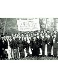 Cele mai frumoase mesaje de dragoste și declarații de iubire scrise vreodată, te vor ajuta să îți surprinzi persoana iubită în momente pline de. SÄteni Din Galtiu Despre Marea Adunare NaÈionalÄ De La Alba Iulia Arhiva Radio Romania