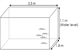 Check spelling or type a new query. Fish Tank Size Calculation Dimensions Volume Petaddon