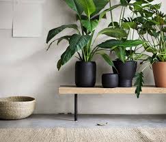 Ikea Sinnerlig Baenk Planteideer Indretningsideer Indendors Planter