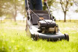 Our editorial team selected the products on this list. 5 Best 18 Petrol Lawn Mowers In Australia 2021
