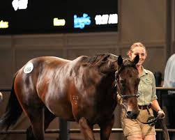 Thoroughbred Breeders...