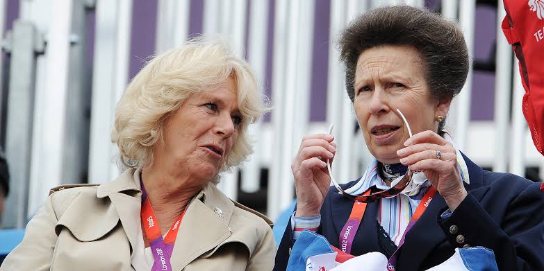 Three Words Princess Anne Said About Camilla Becoming Queen — How Has Their  Relationship Evolved?