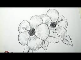 So grab your reference image and draw it with a pencil. How To Draw Hibiscus Flowers Pencil Drawing Shading For Beginners Drawing Lailah Magazi Pencil Sketch Images Pencil Drawing Pictures Flower Sketch Pencil