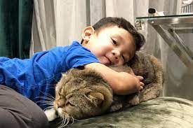 Jangan lupa untuk saksikan my little heroes yusuf & bujibu, mulai 31 januari, setiap rabu, jam 9pm. Comel Betul Bujibu Gaduh Dengan Yusuf Iskandar Berita Steady