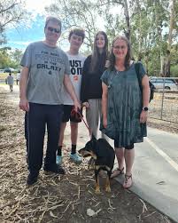 Australian Working Dog...