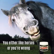 Either You Like Horses Or You Re Wrong Krudzapper Miracle In A Jar Horses Animals Show Horses