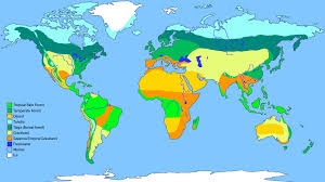On this page of tropical rainforest facts is a list of many of the world's tropical rainforest with some facts about each. Biomes Sutori