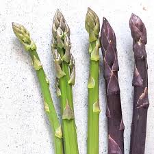Image result for Asparagus nodulosus