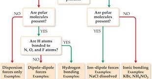 Intermolecular forces are much weaker than intramolecular forces. Macyanderson Sblog Flowchart