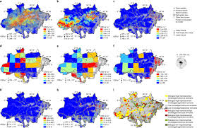 Agora é a hora de completar sua coleção, decorar a casa com produtos daquele personagem que você gosta e viver todo. Spatially Explicit Valuation Of The Brazilian Amazon Forest S Ecosystem Services Nature Sustainability
