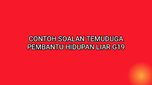 Penolong pemeriksa kapal terbang a29 a 2. Contoh Soalan Temuduga Pembantu Hidupan Liar G19 Sumber Kerjaya