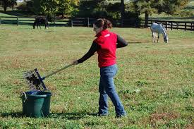 Brad rowland of highlyuncivilized.com explains how naturally derived substances, like diatomaceous earth and white vinegar, can be used to control pests and weeds in an organic or permaculture garden. Will Diatomaceous Earth Kill Worms In Horses The Horse