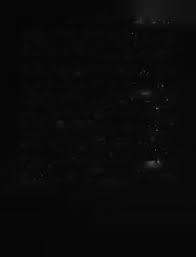 Image result for Isachne buettneri