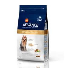 Advance Dog Yorkshire Terrier 1 5kg Apetit Shop Yorkshire Terrier Terrier Yorkshire