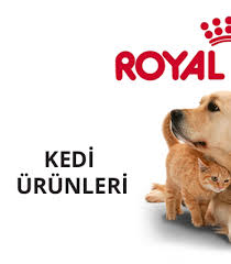 Royal Canin Kedi Mamasi Kedi