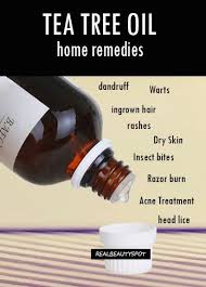 11f1080167dd6af550a5bd0b7114e080 Jpg 412 572 Essential Oil Recipes Essential Oils Tea Tree Essential Oil