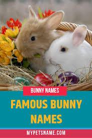 Black And White Bunny Names Boy Famous Bunny Names Bunny Names Rabbit Names Pet Names