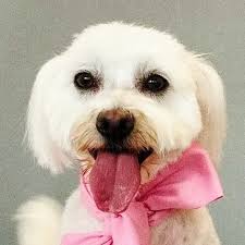 Aj Lilly má už zúbky ako perličky 🤍💚🦷🪥🌿