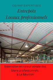 Expertise En Valeur Venale Des Biens A Usage Professionnel A La Reunion 974 En 2020 La Reunion Local Commercial Professionnel