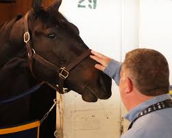 The preakness stakes, the second leg of the triple crown, witnessed its post draw and opening odds unveiled on tuesday with medina spirit listed as trainer steve asmussen switches to irad ortiz in the irons for the preakness stakes. Slideshow Meet The 2021 Preakness Stakes Contenders America S Best Racing
