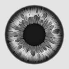 Pupil Mazarine Skygem On Artstation At Https Www Artstation Com Artwork Kdwkn Eyeball Art Eye Drawing Eye Texture