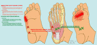 Pin On Pt