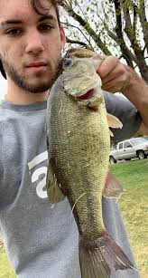 Ducks tripled in size along Redbank Creek recently
