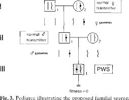 A Genetic Model For The Prader Willi Syndrome And Its