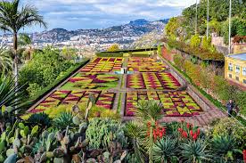 Official page of madeira and porto santo islands 🍃☀ #madeiranowordsneeded visit us ⤵️ www.madeiraallyear.com. 10 Top Tourist Attractions In Madeira With Map Photos Touropia