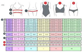 measuring guide amoenas lingerie and swimwear