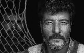 shay dashevsky's favorites