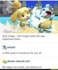 Tthis Image This Image Looks The Way Happiness Feels ª A Little Taste Of Serotonin For You All Be Happy My Dudes You Deserve It Ifunny Animal Crossing Funny