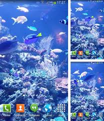 If there is no picture in this collection that you like, also look at other collections of backgrounds on our site. Android Aquariums Live Wallpapers Free Download Page 4