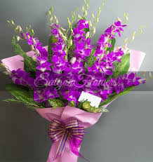 Purple Orchids 01 Birthday Vietnam Orchids Flowers Vietnam Download hd happy birthday photos for free on unsplash. purple orchids 01