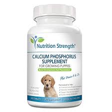 Vitamin d supplements and prevention of cancer and cardiovascular disease. 5 Best Calcium Supplements For Dogs 2021 Reviews