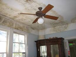 Maybe you would like to learn more about one of these? Unfriendly Fungi Dealing With A Mouldy House Csiroscope