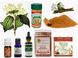 Ottawa Valley Dog Whisperer Natural Herbal Alternatives To Prednisone Steroids Nsaids For Dogs Cats
