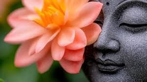 Buddha Stones Pfirsichblüten-Perlen-Ohrstecker „Happy“